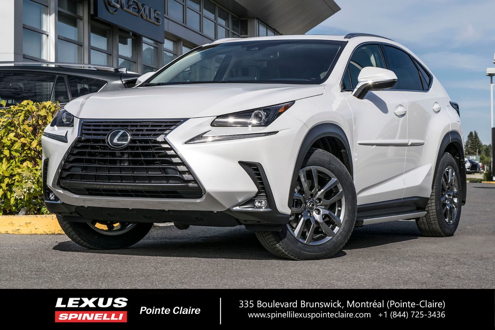 Used Lexus Nx Awd Premium For Sale In Montreal Demo L