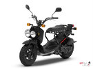 Des déplacements faciles et économiques avec le Honda Ruckus 2012