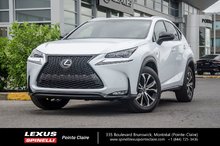 2017 Lexus NX 200t F-SPORT SERIES 2