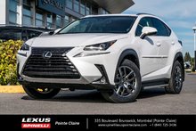 2019 Lexus NX 300 AWD PREMIUM