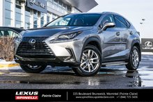 2019 Lexus NX 300 LUXURY PACK