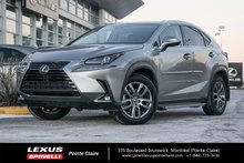 2019 Lexus NX 300 NX 300