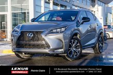 2016 Lexus NX 200t F SPORT 2