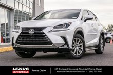 2019 Lexus NX 300 AWD