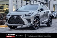2019 Lexus NX 300 NX 300