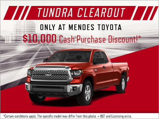 Tundra Clearout