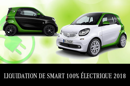 Liquidation de Smart électrique 2018