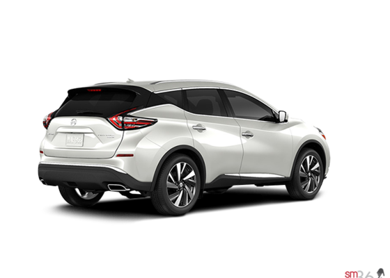 Nissan murano platinum for sale #10