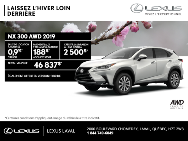 Lexus NX 300 2019