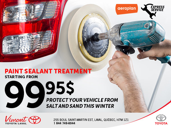 Paint Sealant from $99.95!