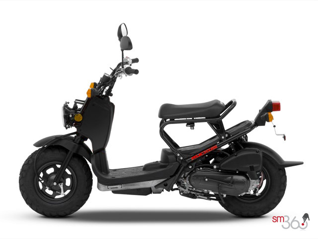 Honda RUCKUS RUCKUS 2012