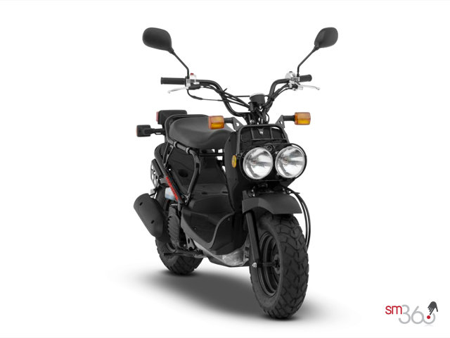Honda RUCKUS RUCKUS 2012