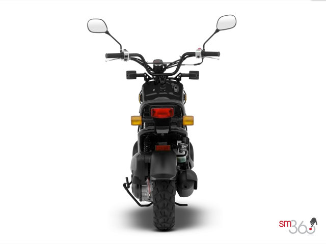 Honda RUCKUS RUCKUS 2012