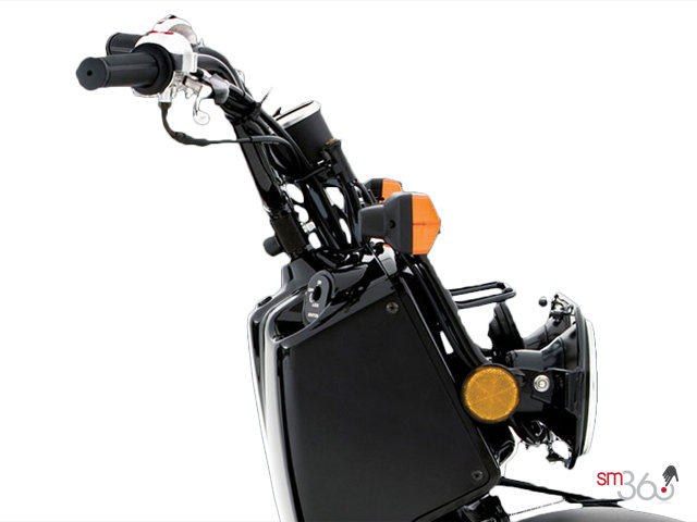 Honda RUCKUS RUCKUS 2012