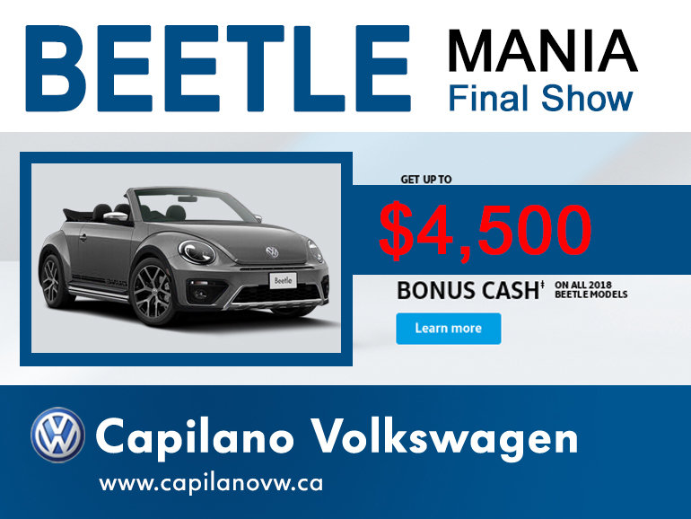 Beetle Mania