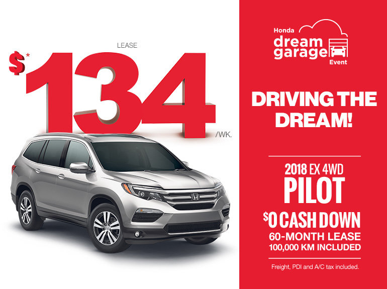 2018 Pilot